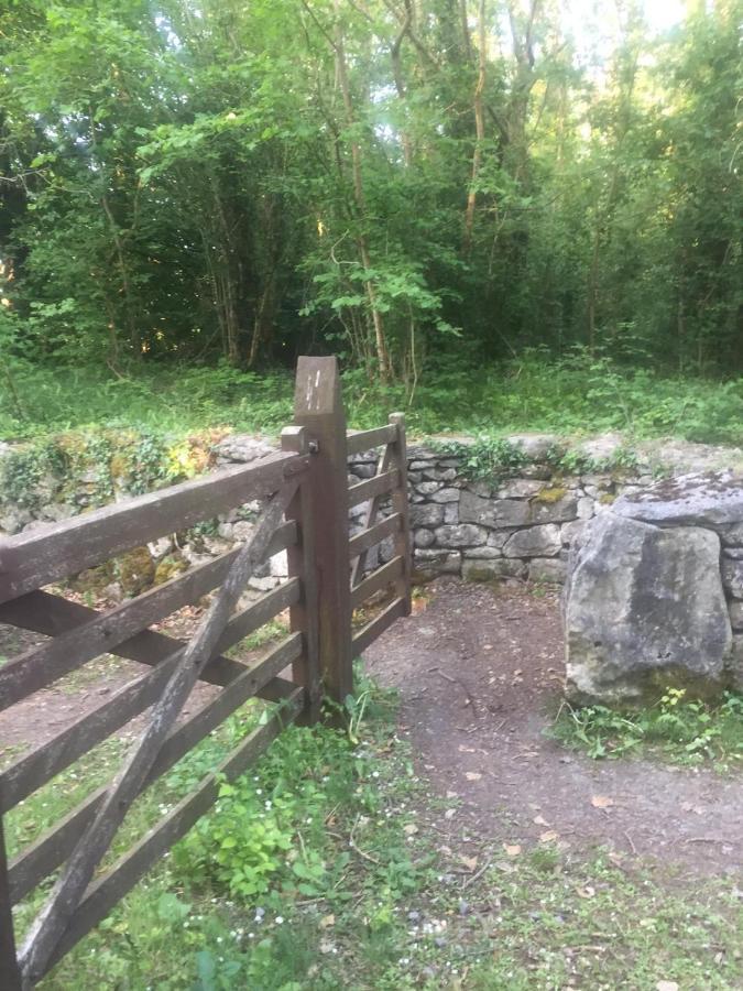 Sallys Cabin Kilcolgan 外观 照片