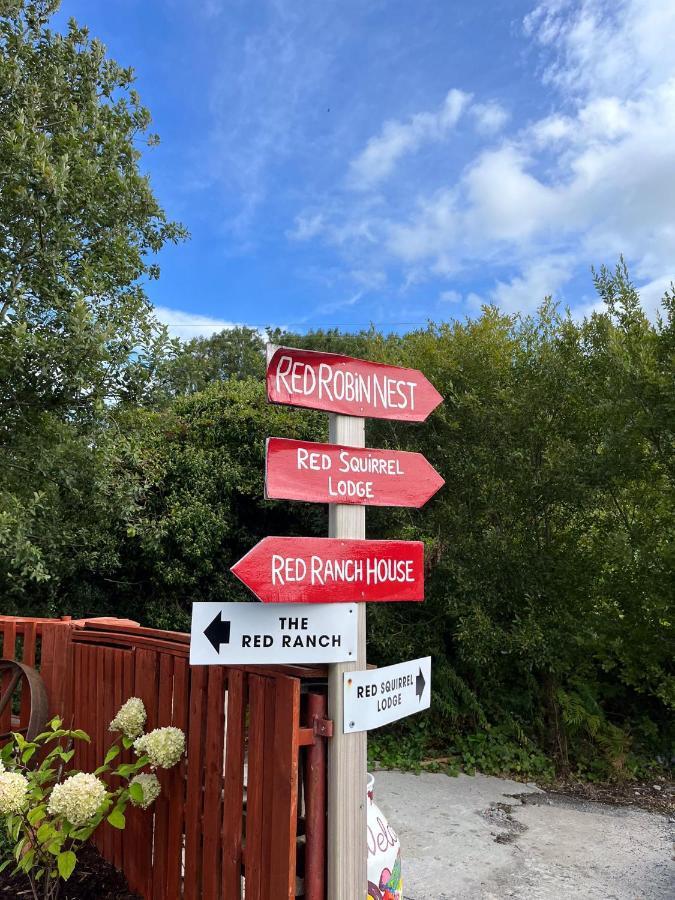 Sallys Cabin Kilcolgan 外观 照片